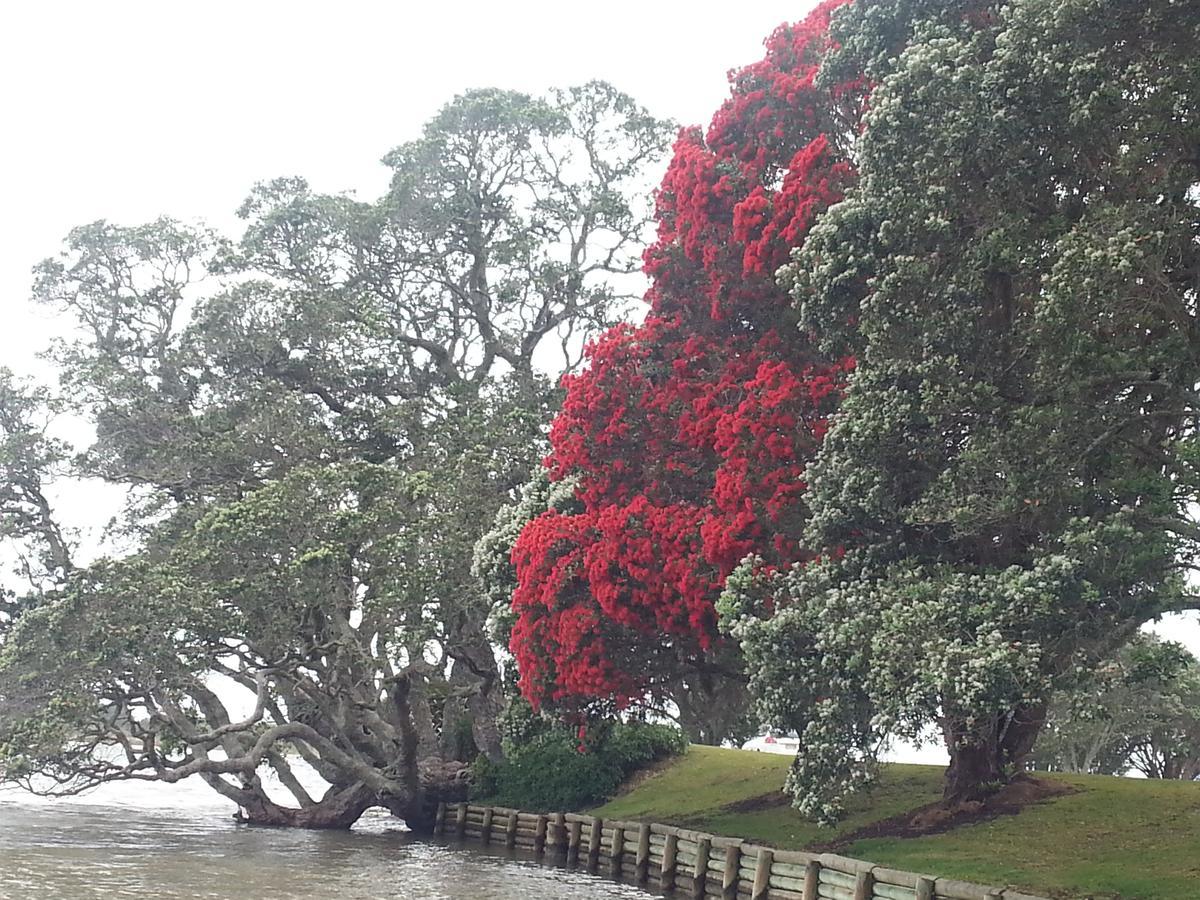 Athenree Hot Springs & Holiday Park Waihi Exterior photo